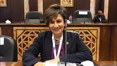 برلمانية: هناك جدية تامة لإنجاح الحوار الوطني