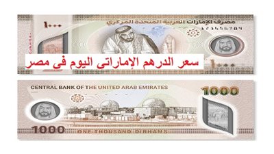 سعر الدرهم الإماراتي اليوم في البنك المركزي اليوم 