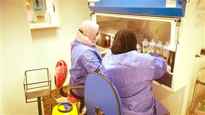 التأمين الصحي بالغربية: الكشف على 600 حالة وإجراء ٣٨ عملية جراحية (صور)