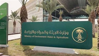رابط التقديم على وظائف وزارة البيئة السعودية لحاملي الدبلوم.. وشروط التسجيل
