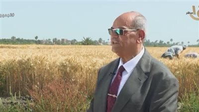 زراعة الفيوم: 