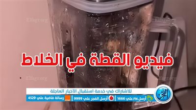 فيديو القطة في الخلاط.. تفاصيل مقطع القطه وخلاط تويتر Cat in the Blender Video [ مرعب ]