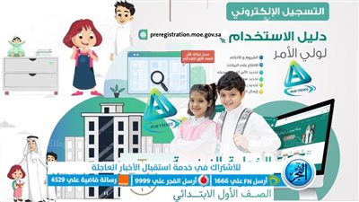 نظام نور للصف الأول الابتدائي.. هكذا تسعى السعوية لربط الأجيال الجديدة بالرقمية