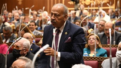 برلماني: زيارة الكونجرس الأمريكي أبرزت ثقل ومكانة مصر الإقليمية والدولية