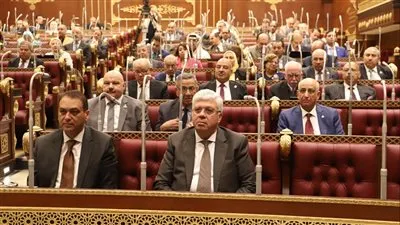 مطالب برلمانية بضرورة وجود وزارة منفصلة مختصه بشئون البحث العلمي 