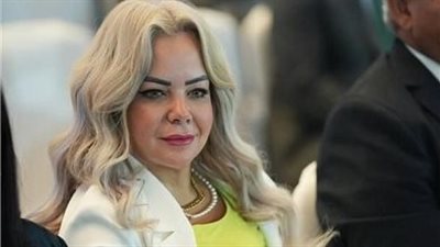 لجنة الأسرة بالحوار الوطني: الطلاق والعنف الأسري والإلكتروني أهم الموضوعات المطروحة (فيديو)