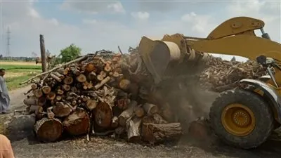 استرداد أكثر من 23 فدانا في الموجة 21 لإزالة التعديات بالدقهلية 