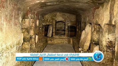 محافظة الجيزة تعلن نتيجة الفائزين بمهنة تربي ومساعد تربي (مستندات)