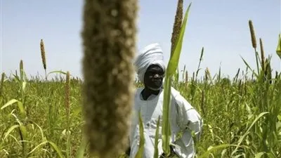 حرب السودان.. أزمة أطفئت شعاع أمل بنفق مظلم|مؤشرات اقتصادية تسقط نحو الهاوية وحرب تلتهم 