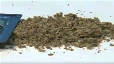 حبس ديلر لاتجاره في مخدر البانجو بالجيزة