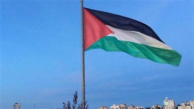 عاجل.. نجاح الجهود المصرية في وقف إطلاق النار بين الاحتلال والمقاومة 