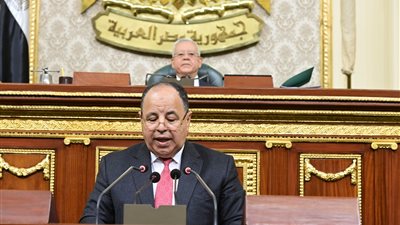 عاجل.. تصريحات مهمة لوزير المالية من البرلمان عن التضخم 