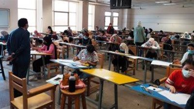 حالة قلق للمصريين بالخارج.. بسبب تعطيل منصة الإمتحانات (تفاصيل )