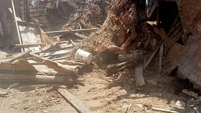 استمرا حملات إزالة التعديات على أملاك الدولة بالدقهلية |صور