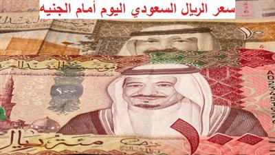 سعر الريال السعودي اليوم مع اقتراب موسم الحج 1444 هجريا.. هدوء وثبات في البنوك وانهيار السوق السوداء