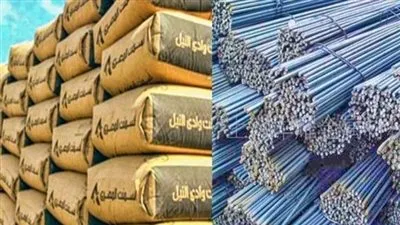 سعر طن الحديد والأسمنت في الشرقية اليوم الجمعة 