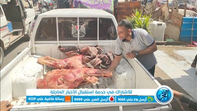 ضبط ٧ طن دواجن ولحوم ومصنعاتها فاسدة في الجيزة..صور
