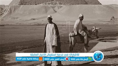 شاهد.. خط ترام شارع الهرم يمر من أمام أهرامات الجيزة