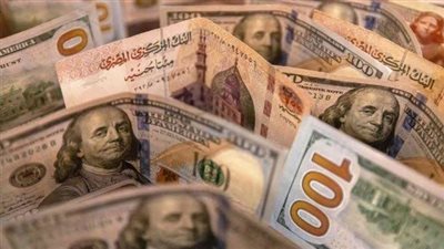 الأمين العام للغرف التجارية يفجر مفاجأة عن سعر الدولار