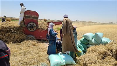 نقيب الزراعيين: مشروع 