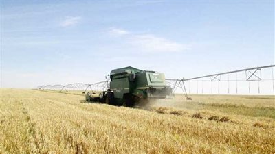 خبير علاقات دولية: الدولة المصرية استطاعت تحقيق الاستدامة في الأمن الغذائي للمصريين