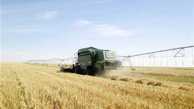 متحدث الزراعة يعلن عن سعر 