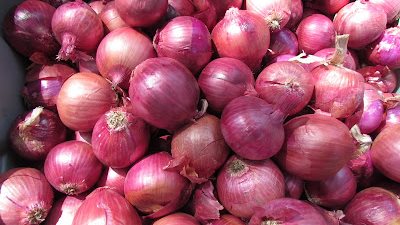 لن تنخفض.. شعبة الخضروات والفاكهة تكشف السر وراء ارتفاع أسعار البصل (فيديو)