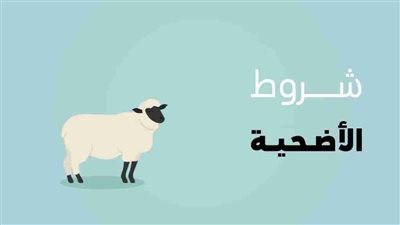 أصل الأضحية وشروطها وواجباتها.. تعرف على كل مايخصها 