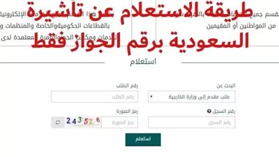 خطوات التسجيل للحصول على التأشيرة الإلكترونية برقم الجواز 