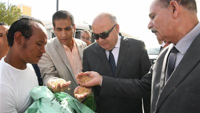 محافظ قنا يتابع استلام محصول القمح بصومعه الترامسة