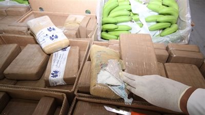 شاهد.. لحظة ضبط الشرطة الإيطالية شحنة كوكايين مخبأة وسط صناديق موز
