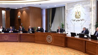  مجلس الوزراء يعتمد مشروعين بكفر الشيخ والأقصر لصالح مبادرة 