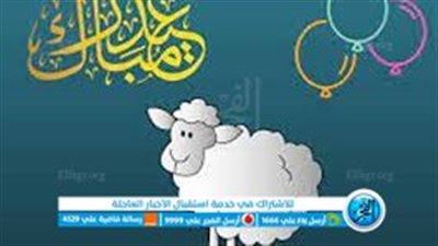 تفاصيل وموعد إجازات شهر يونيو في مصر للقطاع العام والخاص