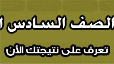 الصف السادس الابتدائي.. تعرف على بعض التفاصيل الهامة للحصول على النتيجة