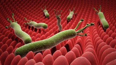 كل ما تريد معرفته عن مرض جرثومة المعدة وطرق علاجه