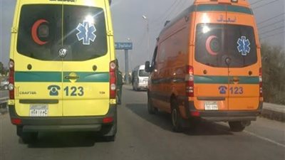 كسروا إيده ورجله وقطعوه.. إصابة شاب في مشاجرة بالأسلحة النارية والبيضاء ببورسعيد