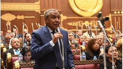 برلماني يطالب بدعم المصانع والمزارع في محاسبة الكهرباء كحوافز للإنتاج