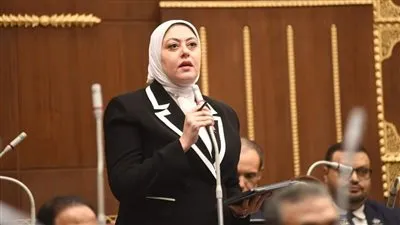 نائبة تسأل وزير الكهرباء حول مشروعات الربط الكهربائي مع دول أوروبا