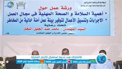 مياه الفيوم: عقد ورشة عمل أهمية السلامة والصحة المهنية فى مجال العمل