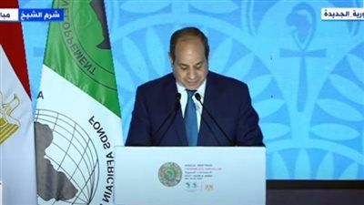 السيسي: الأزمة الروسية الأوكرانية أضافت للمشهد العالمي تعقيدات غير مسبوقة (فيديو)