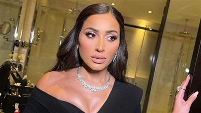 رجل أعمال؟.. من هو حبيب دينا الشربيني الجديد