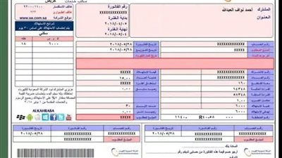 في لحظة.. خطوات الاستعلام عن فاتورة الكهرباء برقم العداد إلكترونيا
