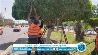 محافظة الإسماعيلية ترفع كفاءة المسطحات الخضراء بالشارع التجاري والطريق الدائري