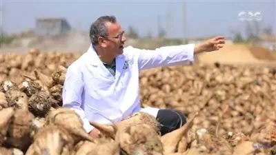 شاهد.. جابر القرموطي يشارك الفلاحين نقل بنجر السكر حتى مراحل صناعته 