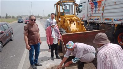 رفع 1210 طن من القمامة والمخلفات الصلبة والأتربة في الدقهلية 