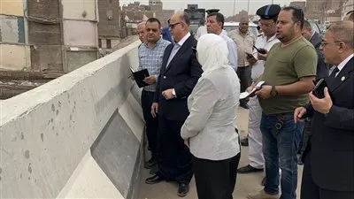 محافظ القاهرة يتابع أعمال التطوير بحيي البساتين والخليفة