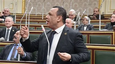 برلماني: مجمع مصانع إنتاج الكوارتز بالعين السخنة يدعم الاقتصاد الوطني