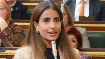 نائبة: توجه الدولة للاستفادة من ثرواتها المعدنية يدعم الاقتصاد الوطني