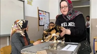 قطة في انتخابات تركيا تخطف الأنظار.. اعرف التفاصيل