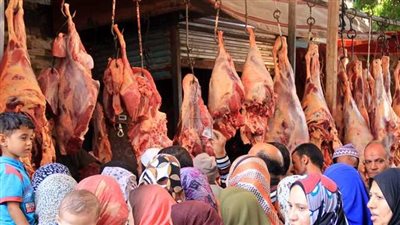 عاجل - النيل للمجمعات الاستهلاكية تزف بشري سارة للمصريين قبل عيد الأضحي المبارك 2023 